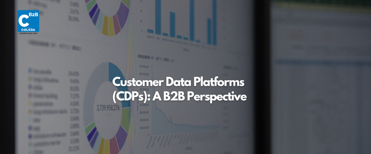 Customer Data Platforms (CDPs): A B2B Perspective