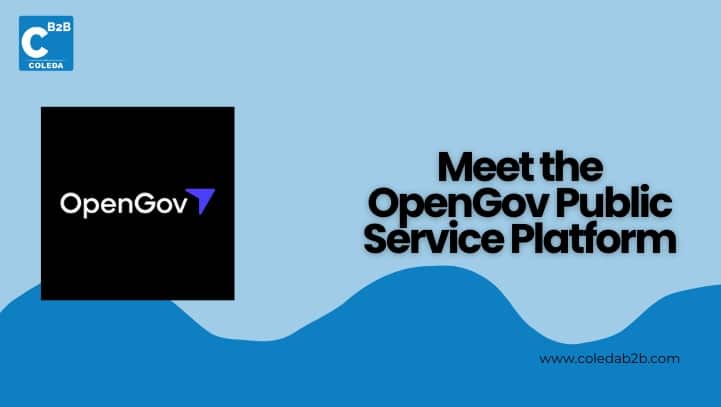 Introducing the OpenGov Public Service Platform