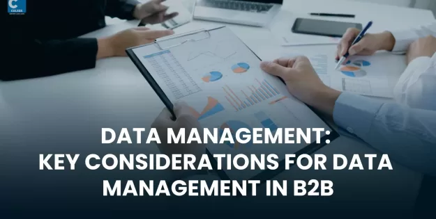 Data-Management--Key-Considerations-for-Data-Management-in-B2B